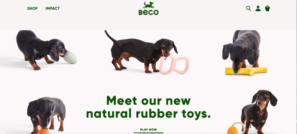 beco pets seo case study